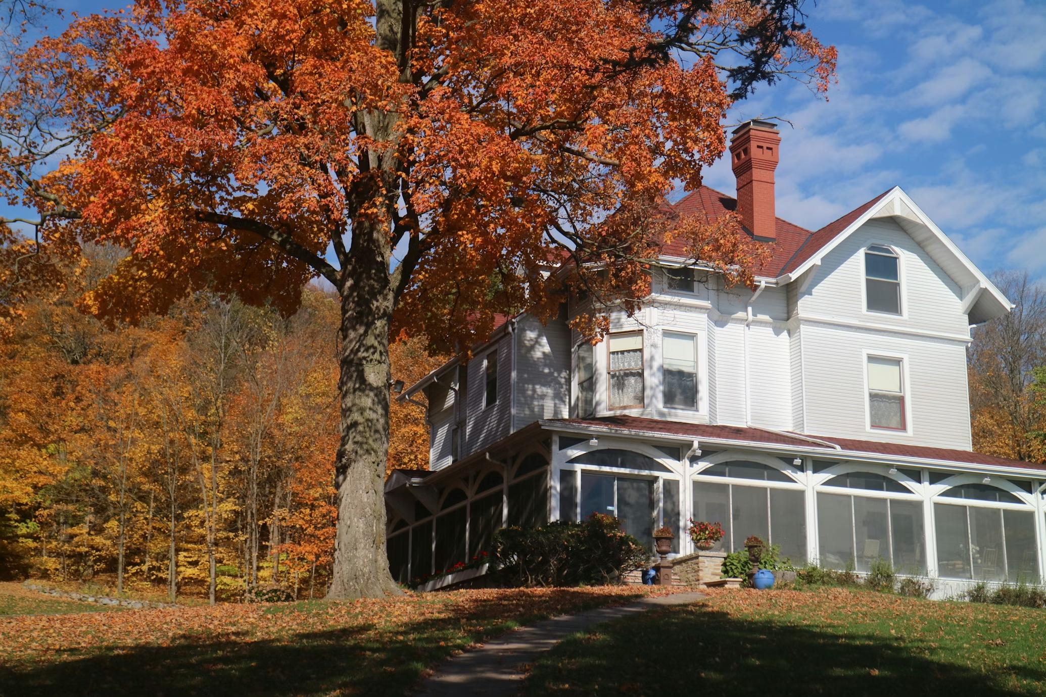 How Scout can help background