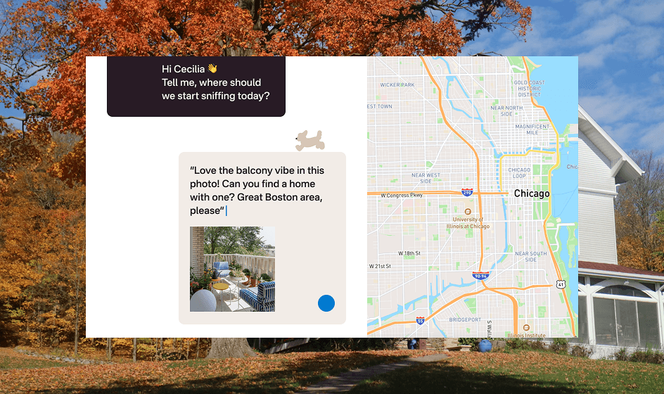 Map Search Interface